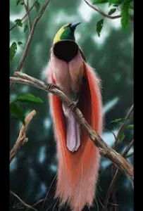 Райские птицы (сериал 2021)