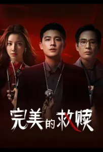 Идеальный подозреваемый (сериал 2025)